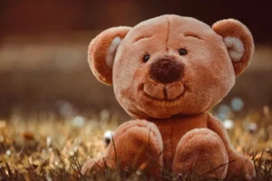 teddy-bear-7356348_1280_11zon