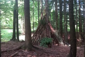 14_3_11zon 14_3_11zon